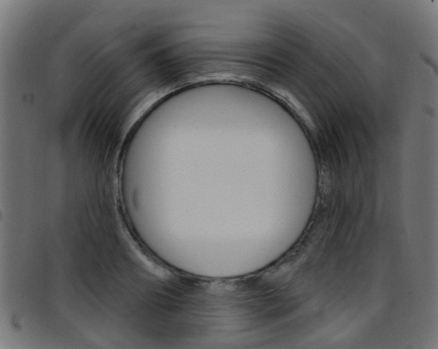 X0000097750890200803070839