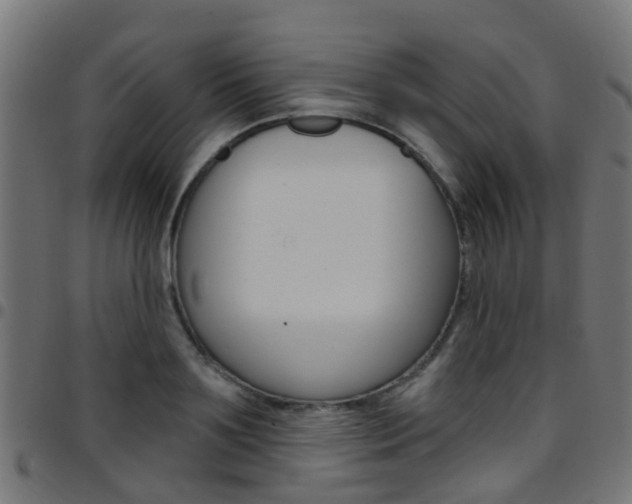 X0000097750891200803070839