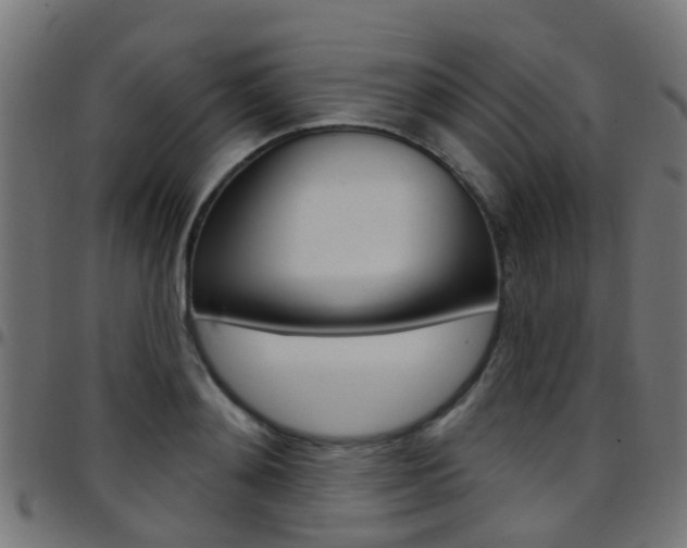 X0000097750892200803070839