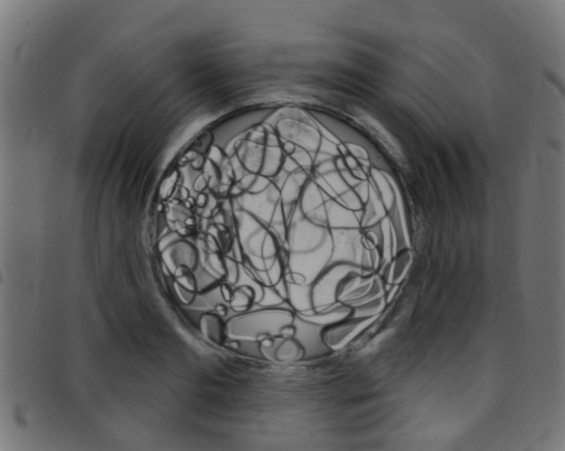 X0000097750893200803070839