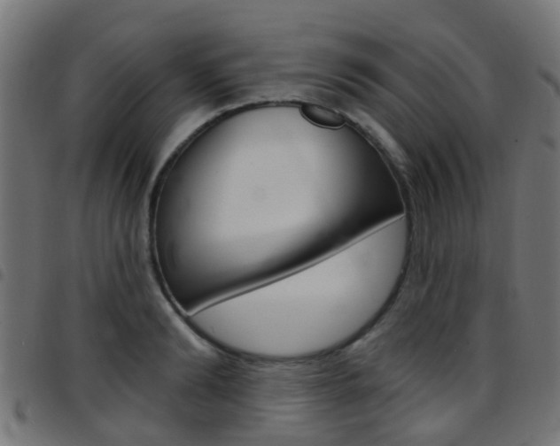 X0000097750894200803070839