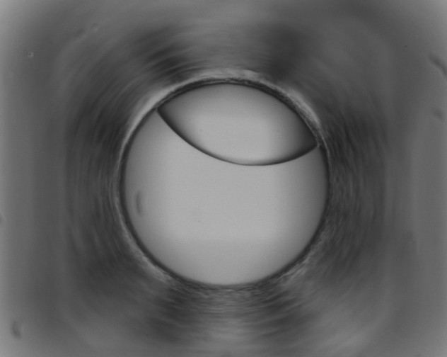 X0000097750895200803070839