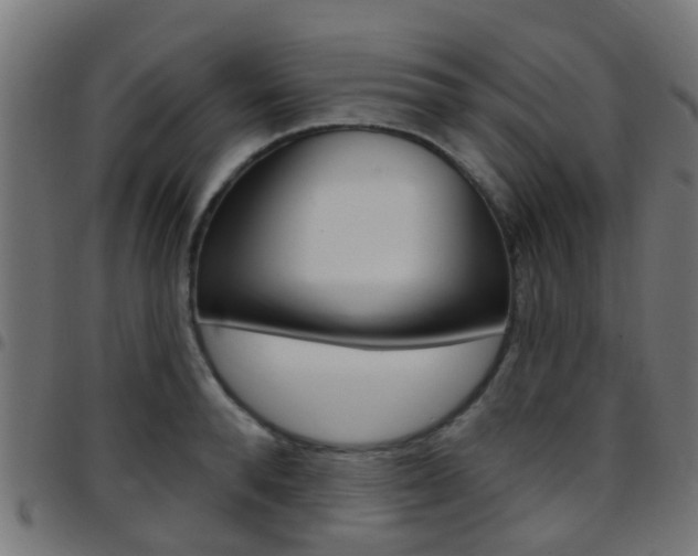 X0000097750896200803070839