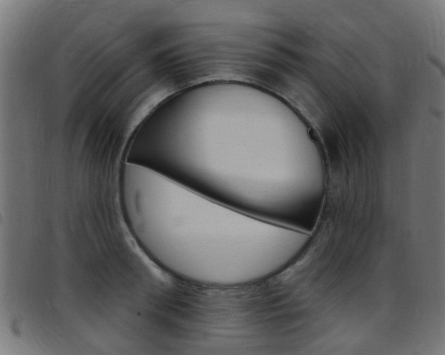 X0000097750898200803070839