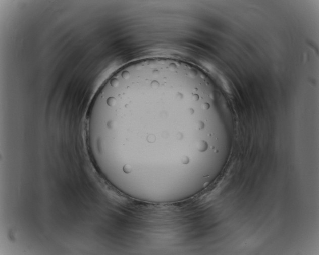X0000097750899200803070839