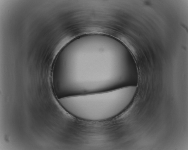 X0000097750901200803070839
