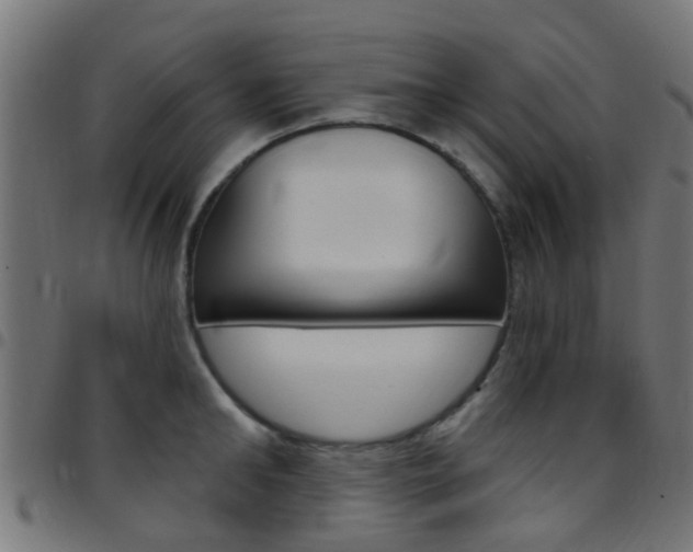 X0000097750902200803070839