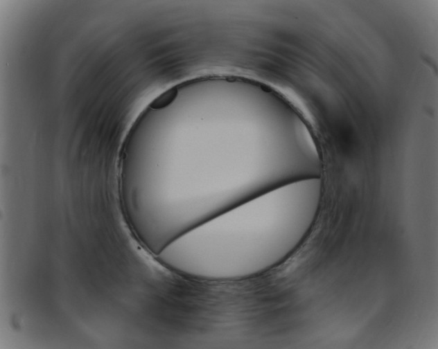 X0000097750903200803070839