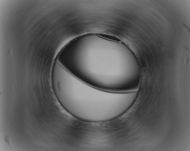 X0000097750904200803070839