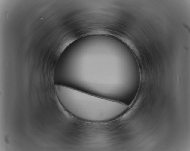 X0000097750905200803070839