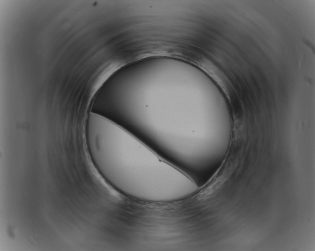 X0000097750906200803070839