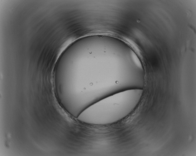 X0000097750907200803070839