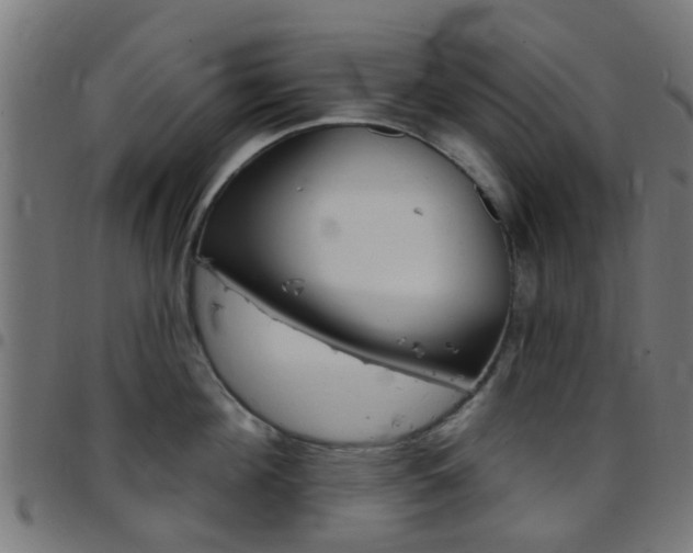 X0000097750908200803070839