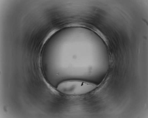 X0000097750909200803070839