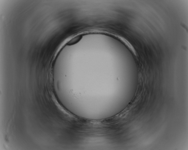 X0000097750911200803070839