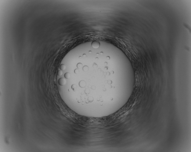 X0000097750913200803070838