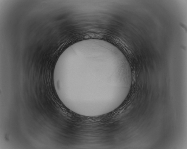 X0000097750915200803070838