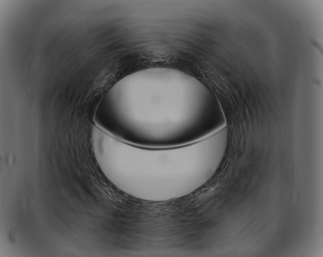 X0000097750916200803070838