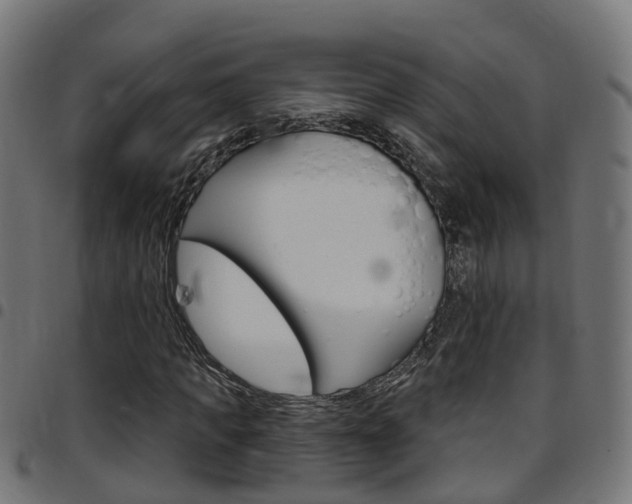 X0000097750917200803070838