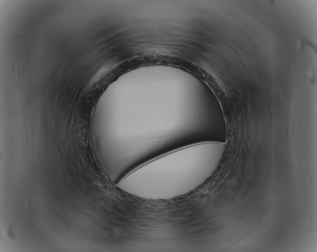 X0000097750919200803070839