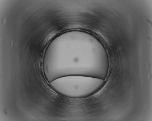 X0000097750921200803070839