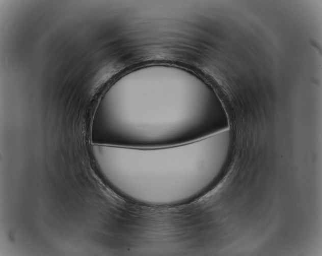 X0000097750922200803070839