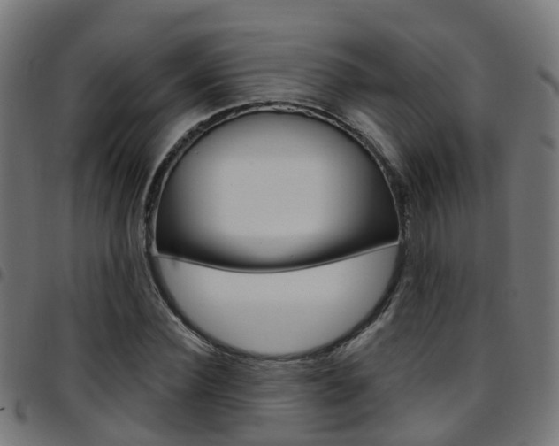 X0000097750924200803070839