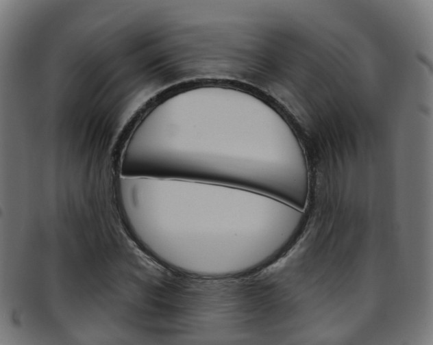 X0000097750926200803070839