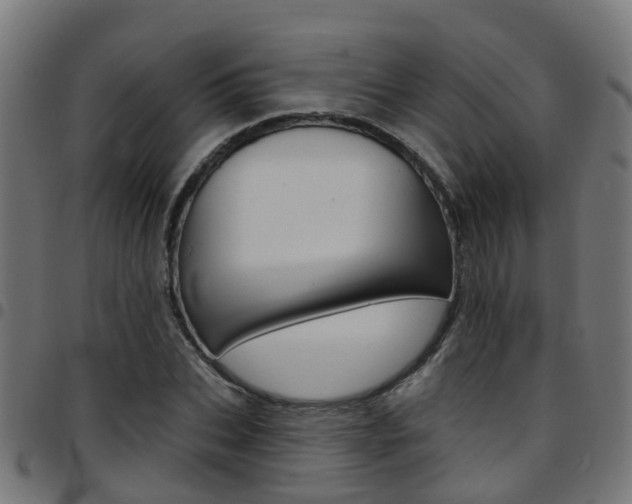 X0000097750927200803070839