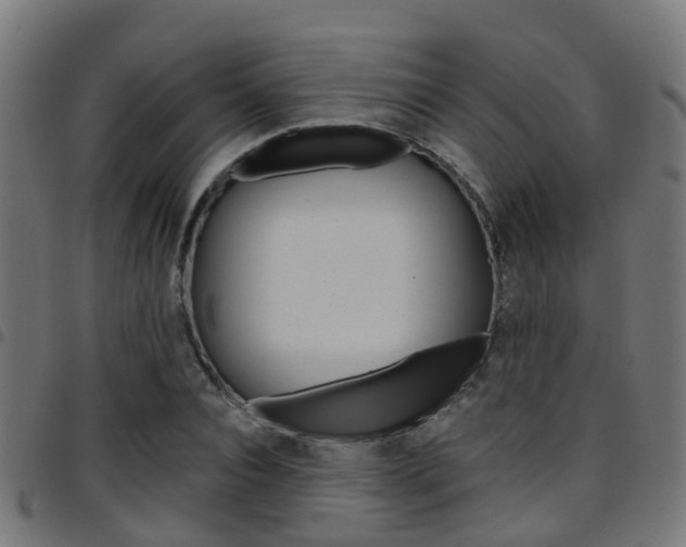 X0000097750928200803070839