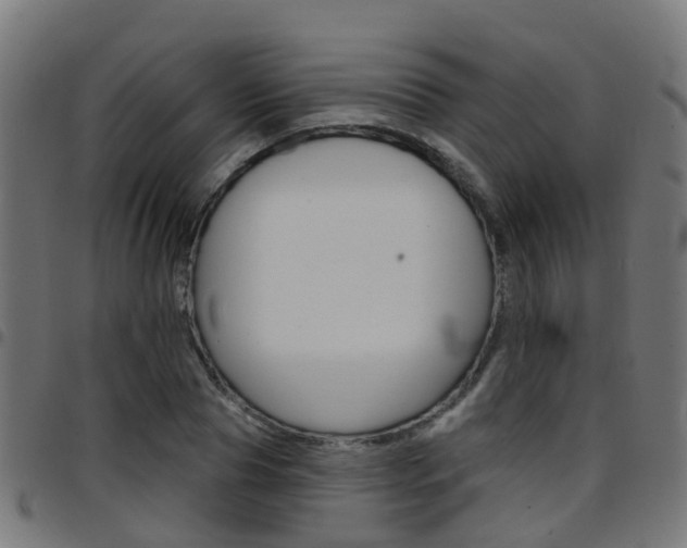 X0000097750929200803070839