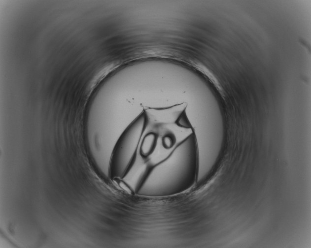 X0000097750930200803070839