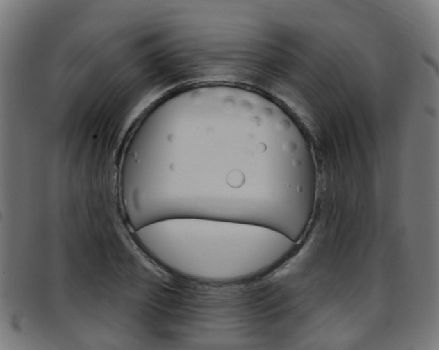 X0000097750933200803070839