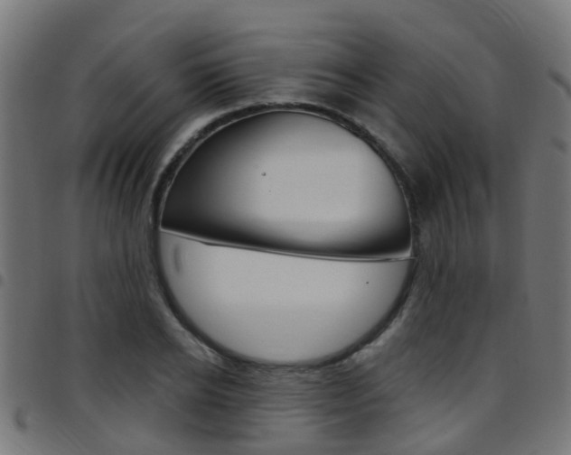 X0000097750934200803070839