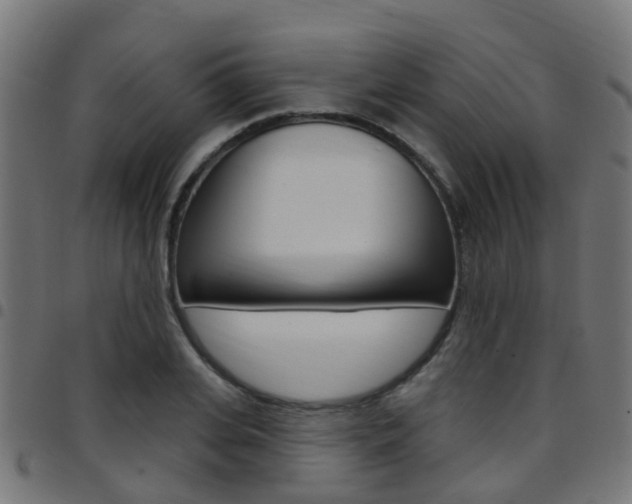 X0000097750935200803070839