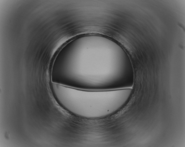 X0000097750936200803070839