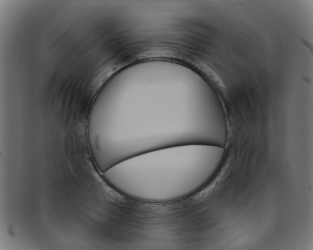 X0000097750937200803070839