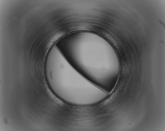 X0000097750938200803070839