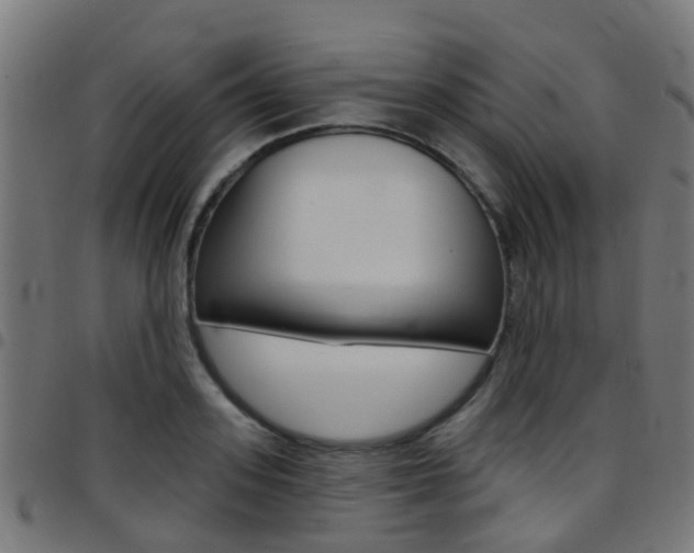 X0000097750939200803070839
