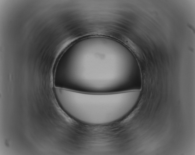 X0000097750940200803070839