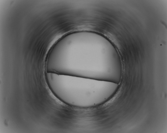 X0000097750941200803070839