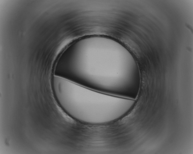 X0000097750942200803070839