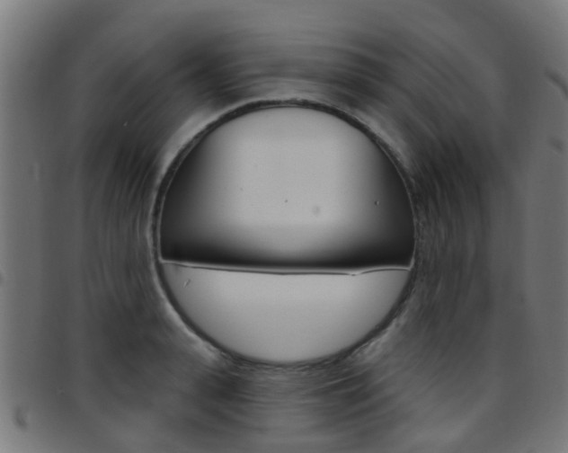 X0000097750943200803070839
