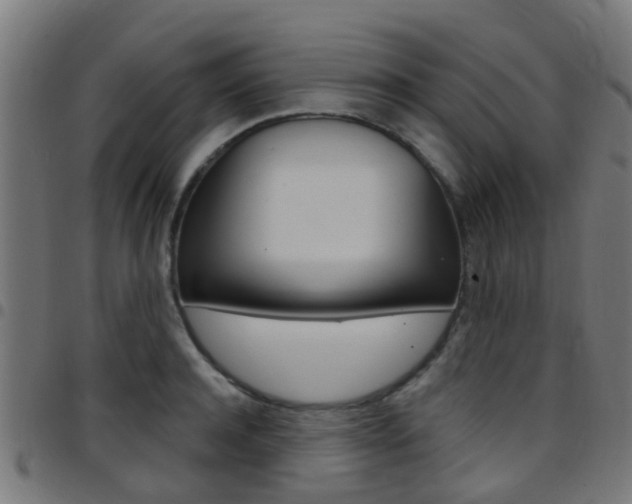 X0000097750944200803070839