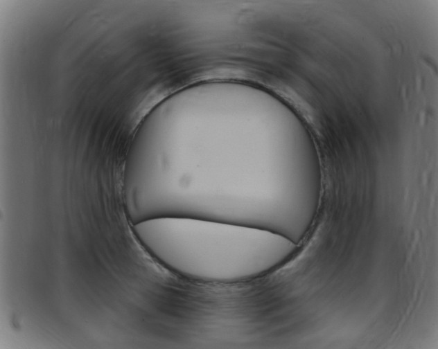 X0000097750945200803070839