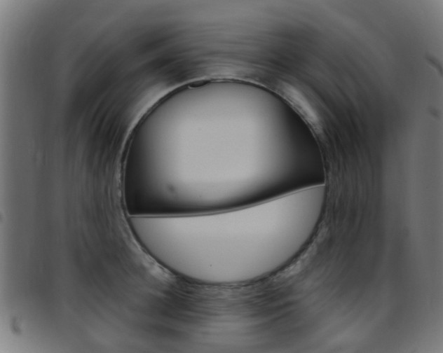 X0000097750948200803070839