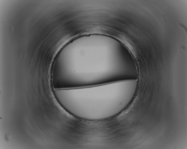 X0000097750949200803070839