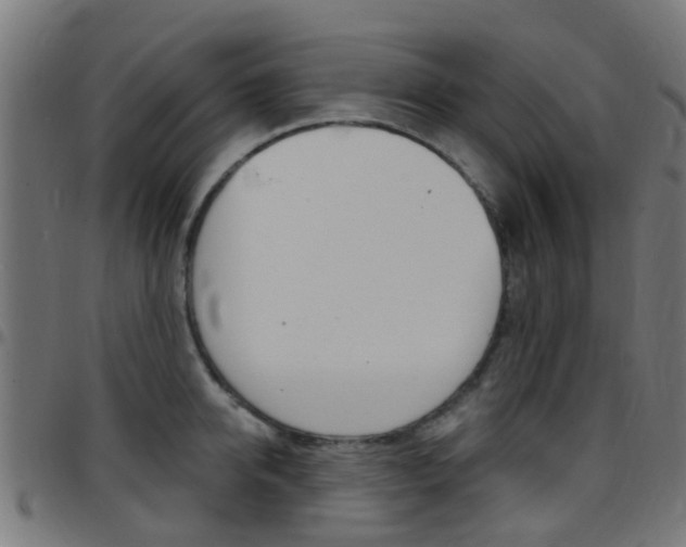 X0000097750950200803070839