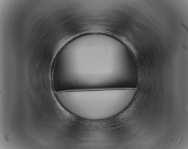 X0000097750951200803070839