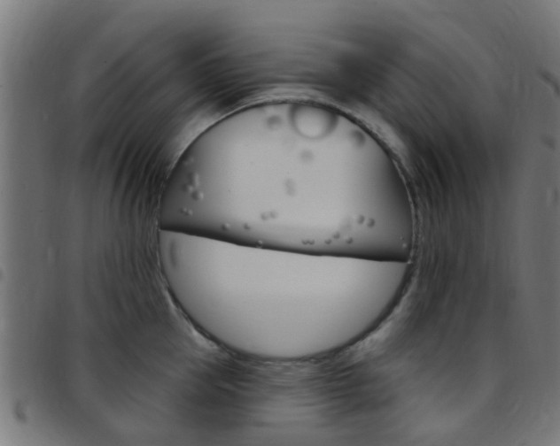 X0000097750953200803070839